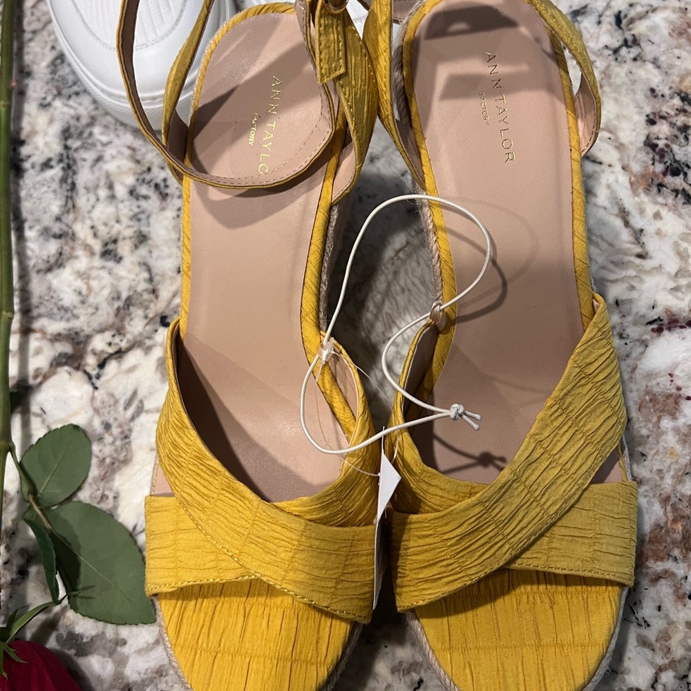 NWT Ann Taylor shoes size 10